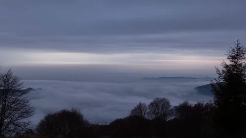 Fog above City 库存影片 98500384