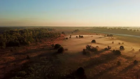 Fog Above the Dawn Field. Stock Footage 252018707