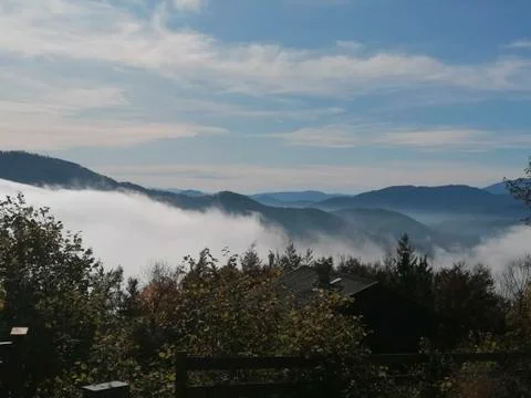 A fog above the forest Stock Photos