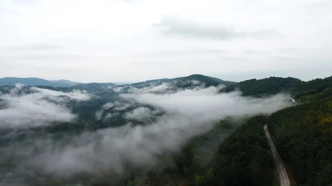 Fog Above Mountain Forests 스톡 동영상 95705783