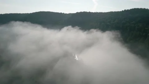 Fog above pine forests. Misty morning view in wet mountain area. Video stock 218102453