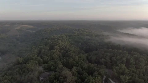 Fog above the tree line Stock Footage 111352411