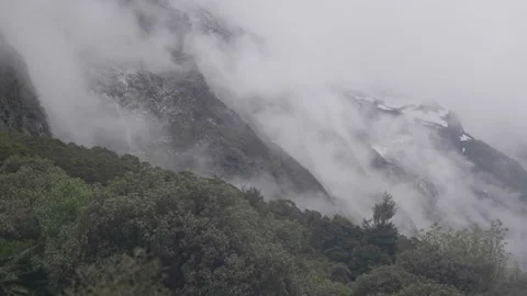 Fog above tree line in mountain Stock Footage 327764193