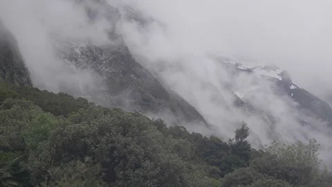 Fog above tree line in mountain Video stock 328615384