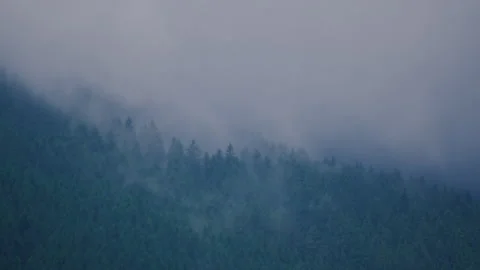 A fog after rain arising above a mountain forest 스톡 동영상 314518052