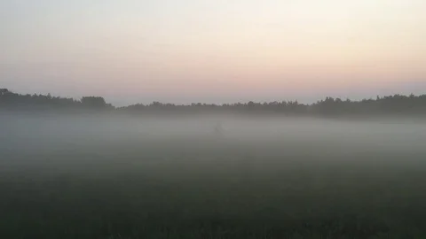 Fog After Sunset Vidéo 79474402