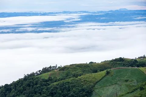 Fog and cloud mountain landscape. Beautiful Landscape of mountain Stock Photos