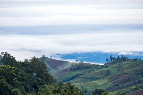 Fog and cloud mountain landscape. Beautiful Landscape of mountain Stock Photos