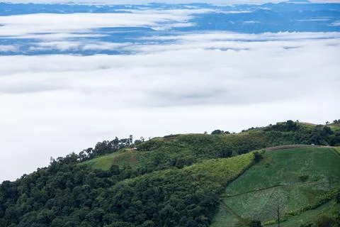 Fog and cloud mountain landscape. Beautiful Landscape of mountain Stock Photos