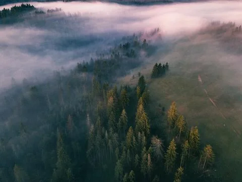 Fog and cloud mountain under mist the morning Foto stock