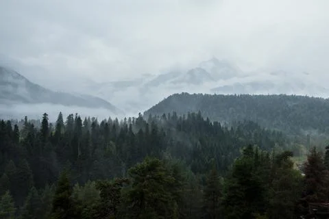Fog and cloud mountain under mist In the morning, nature's serene beauty Stock Photos