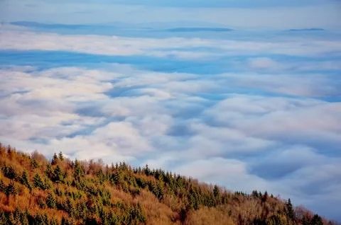 Fog and cloud mountain valley landscape Stock Photos