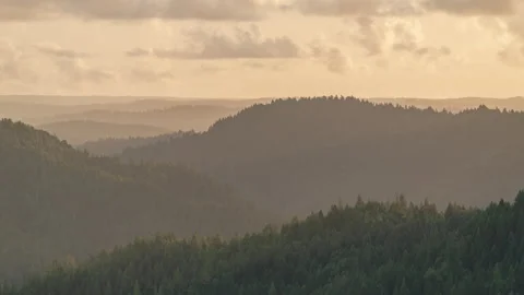Fog and clouds blow over forested hills - daytime timelapse Stock Footage 220023866