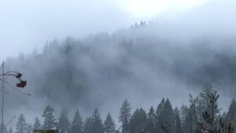 Fog and clouds blowing by Stock Footage 102427668