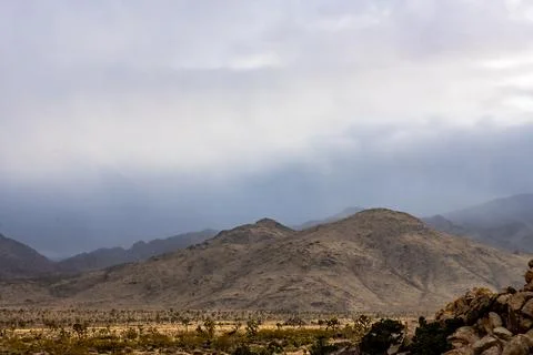 Fog and Clouds Bring a Rain Shower to Joshua Trees Mountains Stockfoto's