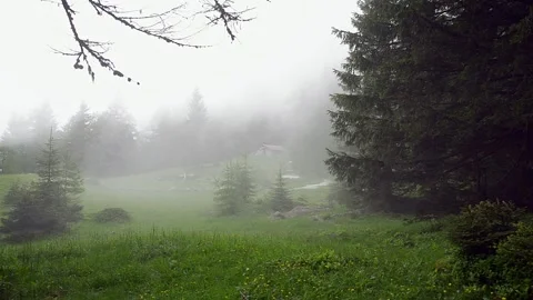 Fog and clouds in a mountain pasture with meadows, fir trees and an old hut Stock Footage 307824146