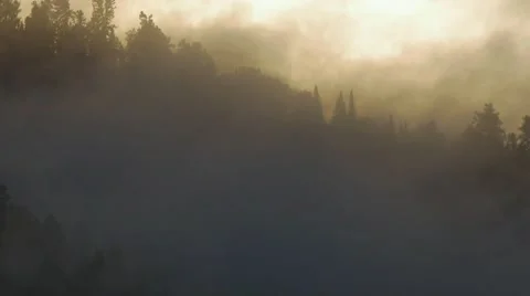 Fog and clouds in the mountains Stock Footage 67661585