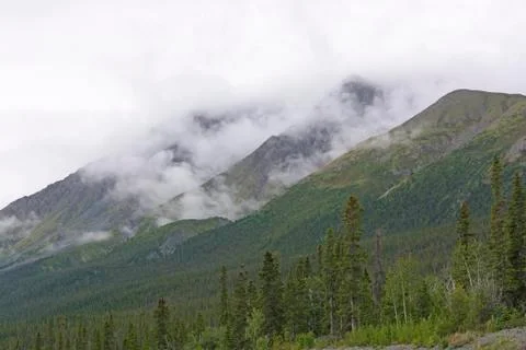 Fog and Clouds in the Mountains 스톡 사진