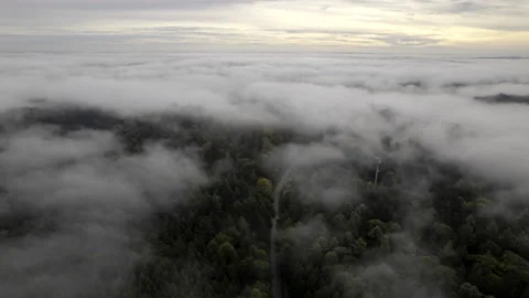 Fog and clouds over a forest devided by a roud aerial time lapse Stock Footage 218038566