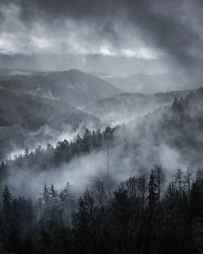 Fog and clouds over forest and hills Stock Photos