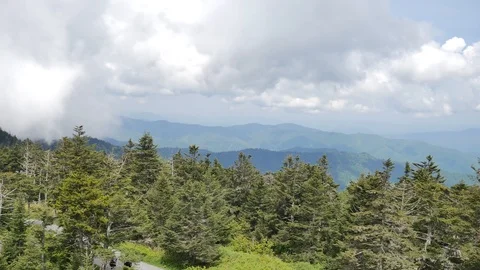 Fog and clouds over mountain trees in Clingmans Dome TN 스톡 동영상 90877278