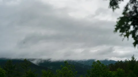 Fog and clouds raining over lush green forest and mountains timelapse (4k) Stock Footage 156842472