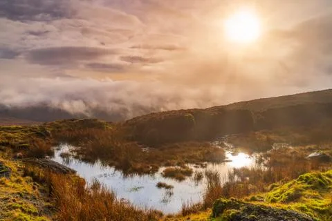 Fog and dramatic sky over a swamp with sun reflecting in a puddle Stock-Fotos