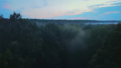 Fog and forest. After the rain Stock Footage 161593716
