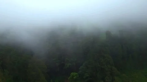 Fog and hill Stock Footage 308400834