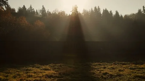 Fog and light rays illuminated by morning sunlight disturbed by Canada train Vídeo Stock 97204258