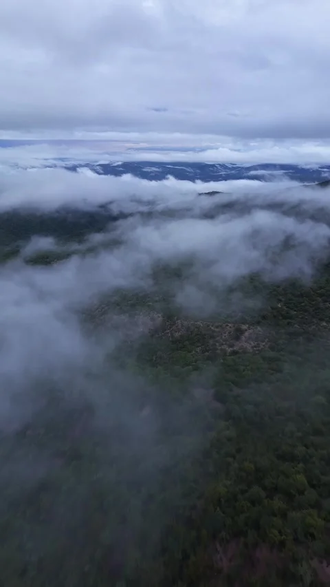 Fog and low clouds over forested mountain ridges at dawn, drone aerial Stock Footage 348301672