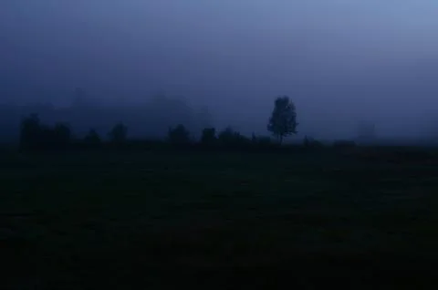 Fog and mist covered summer field in the afternoon Stock Photos