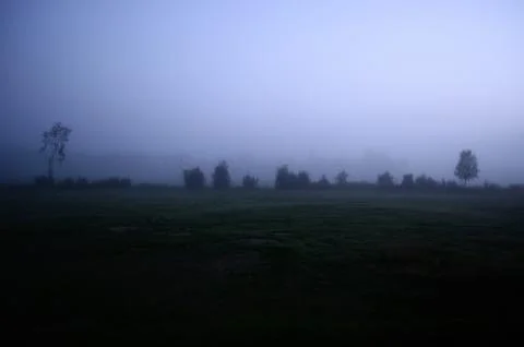 Fog and mist covered summer field in the afternoon Stock Photos
