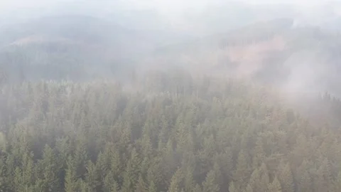 Fog and mist over a forest landscape video in 4k Stock Footage 159870138