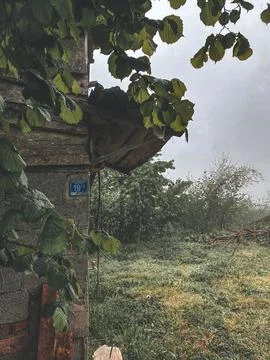 Fog and rain Stock Photos