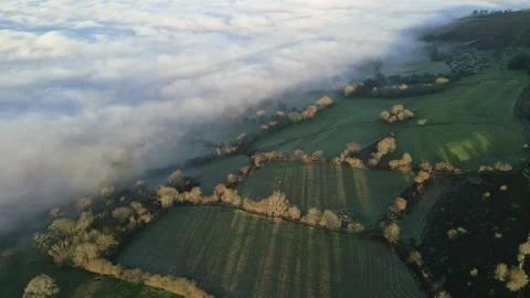 Fog and shadows over rural farmland at dusk Stock Footage 296602729