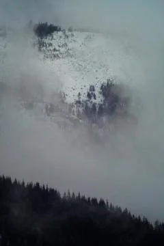 Fog and snow Foto stock