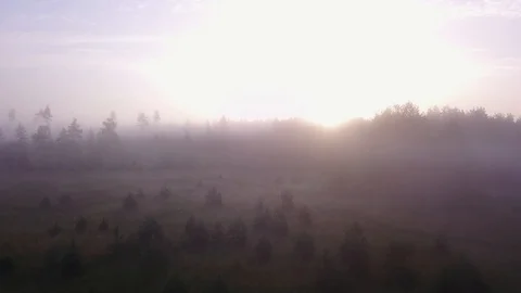 Fog and Sun Stock Footage 101489551