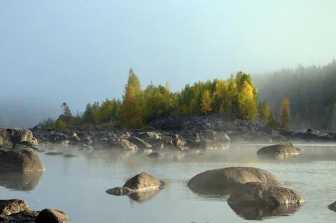 Fog and sun Stock Photos