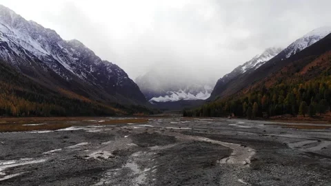 Fog and trees, in autumn. flying on the Altai quadrocopter. Stock Footage 160366229
