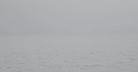 Fog and Water Stock Footage 260744727