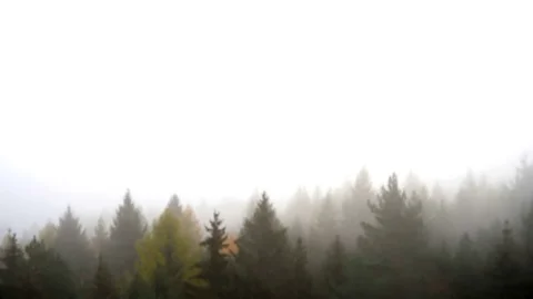 Fog and wind in the landscape 스톡 동영상 82136838