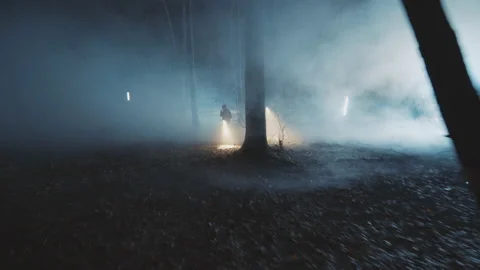Fog around two detectives young men in woods at night with flashlight. Forest Stock Footage 175405461