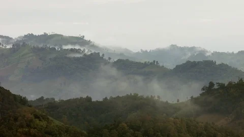 Fog Ascending over Rain Forest in Southeast Asia Video stock 74420368