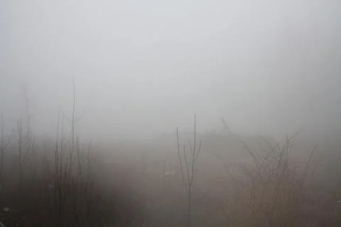 Fog in Austria. Stock Photos