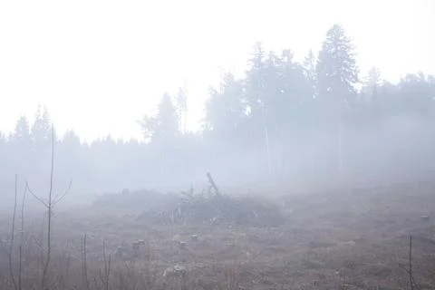 Fog in Austria. Stock Photos