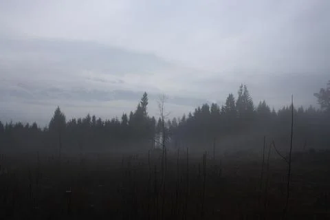 Fog in Austria. Stock Photos
