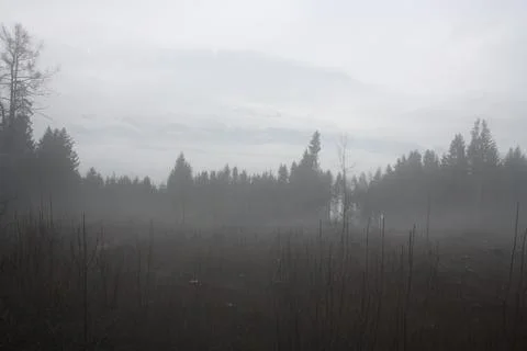 Fog in Austria. Stock Photos