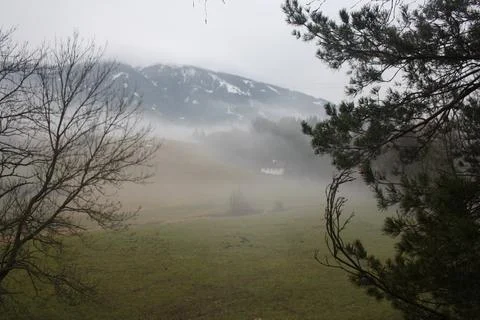 Fog in Austria. Stock Photos