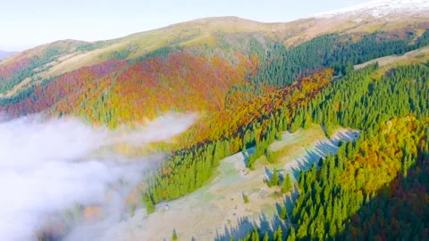 Fog in the autumn Stock Footage 170774528